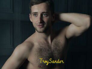 TroySander