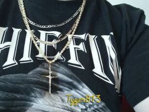 Tyger813