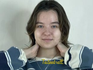 Taiteedsall