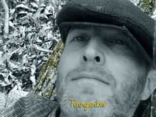 Tenngentxo