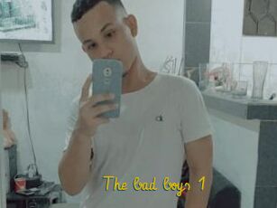 The_bad_boys_1