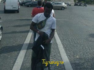 Tigrenegro