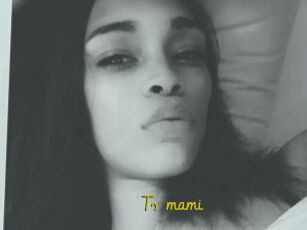 Ts_mami