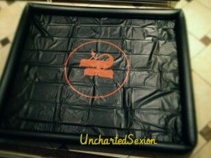 UnchartedSexion