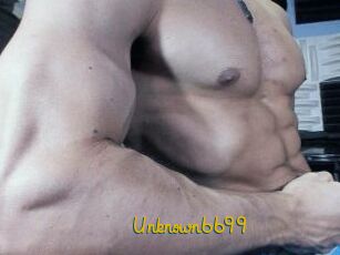 Unknown6699