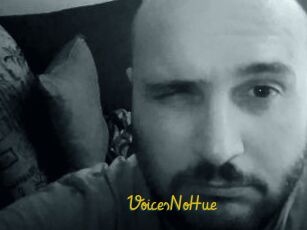 VoicesNoHue