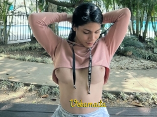 Vekamaita