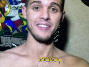 WildDavey