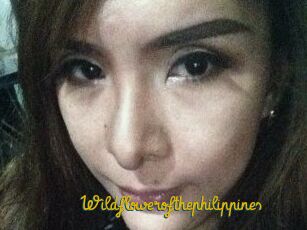 Wildflowerofthephilippines