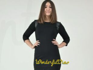 WonderfulView
