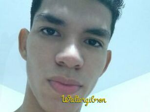 Waltergibson