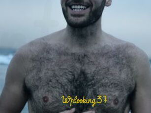 Wplooking37