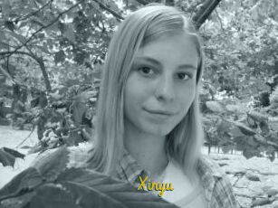 Xinyu