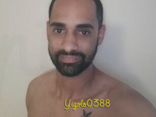 Yigolo0388