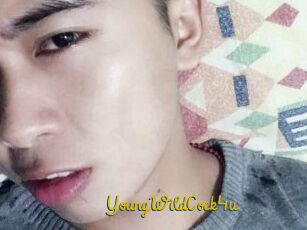 YoungWildCock4u