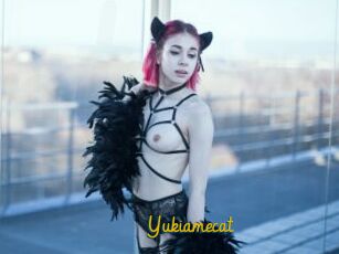 Yukiamecat