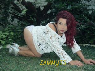 ZAMMYTS