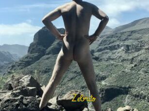 Zebrito