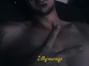 Zillysausage