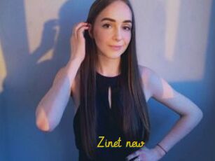 Zinet_new