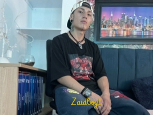 Zaidboyt